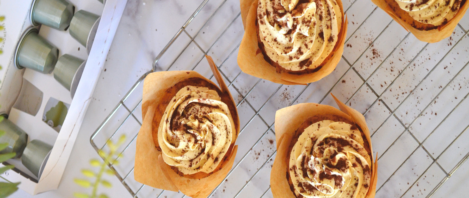 Tiramisu Cupcakes – CRU Kafe